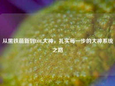 从黑铁萌新到LOL大神，扎实每一步的大神系统之路
