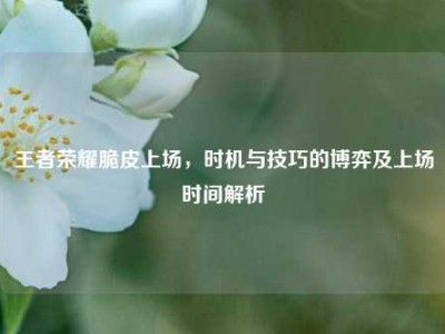 王者荣耀脆皮上场，时机与技巧的博弈及上场时间解析