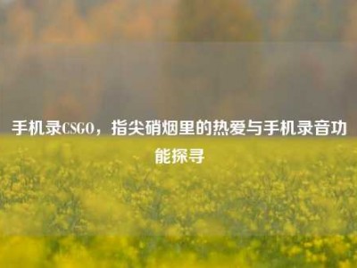 手机录CSGO，指尖硝烟里的热爱与手机录音功能探寻