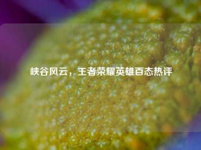 峡谷风云，王者荣耀英雄百态热评