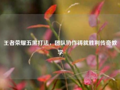 王者荣耀五黑打法，团队协作铸就胜利传奇教学