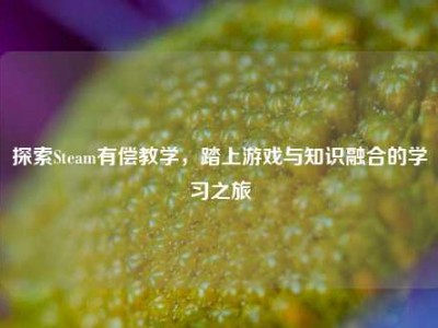 探索Steam有偿教学，踏上游戏与知识融合的学习之旅