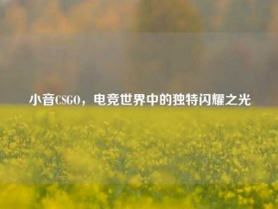 小音CSGO，电竞世界中的独特闪耀之光