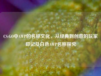 CS:GO中AWP的名称文化，从经典到创意的玩家印记及白色AWP名称探究