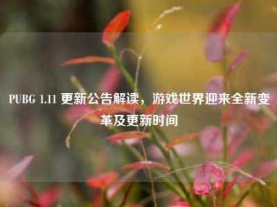 PUBG 1.11 更新公告解读，游戏世界迎来全新变革及更新时间