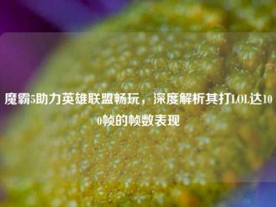魔霸5助力英雄联盟畅玩，深度解析其打LOL达100帧的帧数表现