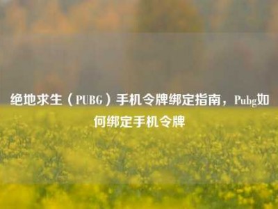 绝地求生（PUBG）手机令牌绑定指南，Pubg如何绑定手机令牌