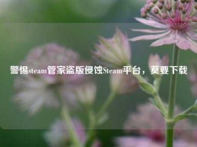 警惕steam管家盗版侵蚀Steam平台，莫要下载