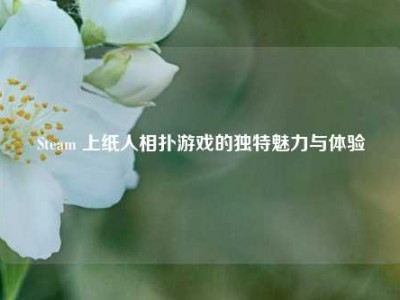 Steam 上纸人相扑游戏的独特魅力与体验