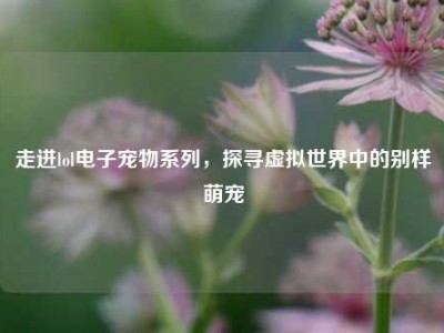 走进lol电子宠物系列，探寻虚拟世界中的别样萌宠
