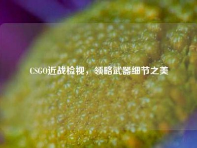 CSGO近战检视，领略武器细节之美