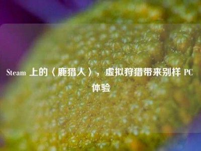 Steam 上的〈鹿猎人〉，虚拟狩猎带来别样 PC 体验