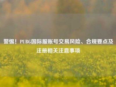 警惕！PUBG国际服账号交易风险、合规要点及注册相关注意事项