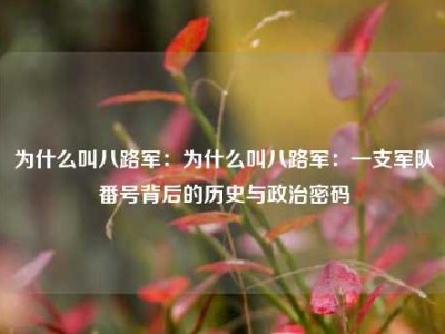 为什么叫八路军：为什么叫八路军：一支军队番号背后的历史与政治密码