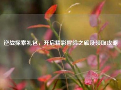 逆战探索礼包，开启精彩冒险之旅及领取攻略