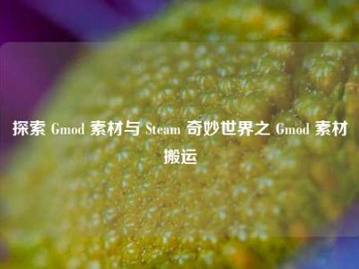 探索 Gmod 素材与 Steam 奇妙世界之 Gmod 素材搬运