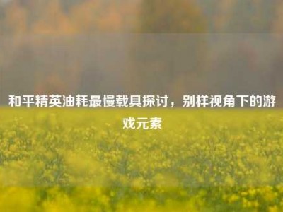 和平精英油耗最慢载具探讨，别样视角下的游戏元素