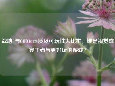 战地5与COD16画质及可玩性大比拼，谁是视觉盛宴王者与更好玩的游戏？