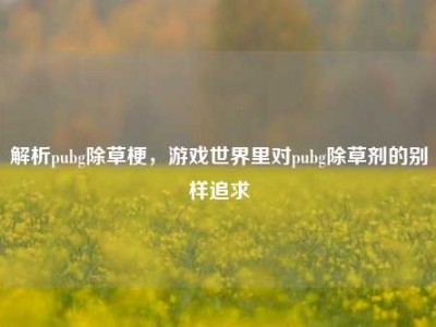 解析pubg除草梗，游戏世界里对pubg除草剂的别样追求