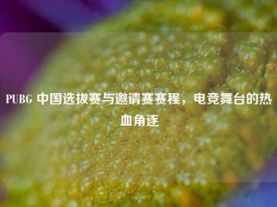 PUBG 中国选拔赛与邀请赛赛程，电竞舞台的热血角逐