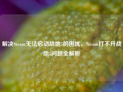 解决Steam无法启动战地5的困扰，Steam打不开战地5问题全解析