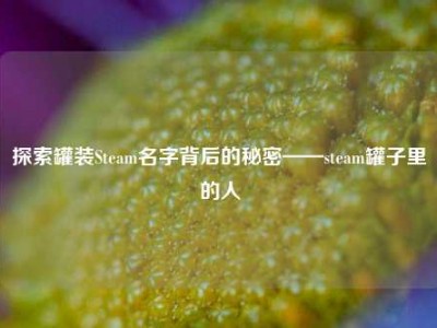 探索罐装Steam名字背后的秘密——steam罐子里的人