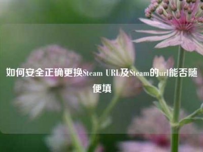 如何安全正确更换Steam URL及Steam的url能否随便填