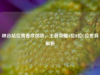 峡谷站位青春攻防战，王者荣耀A位B位C位差异解析