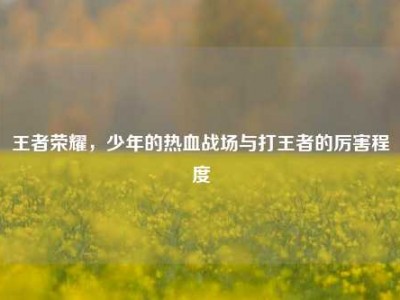 王者荣耀，少年的热血战场与打王者的厉害程度