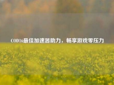 COD16最佳加速器助力，畅享游戏零压力