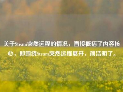 关于Steam突然远程的情况，直接概括了内容核心，即围绕Steam突然远程展开，简洁明了。