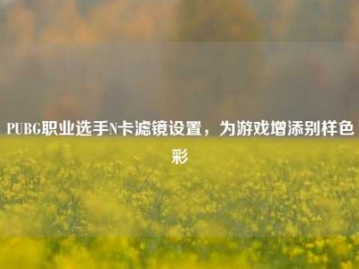 PUBG职业选手N卡滤镜设置，为游戏增添别样色彩