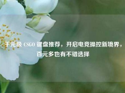 千元级 CSGO 键盘推荐，开启电竞操控新境界，百元多也有不错选择