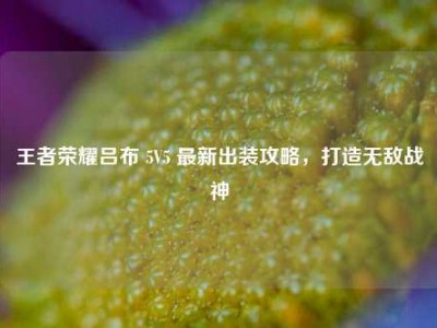 王者荣耀吕布 5V5 最新出装攻略，打造无敌战神