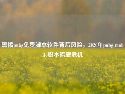 警惕pubg免费脚本软件背后风险，2020年pubg mobile脚本暗藏危机