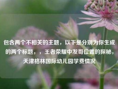 包含两个不相关的主题，以下是分别为你生成的两个标题，，王者荣耀中发哥位置的探秘，天津格林国际幼儿园学费情况