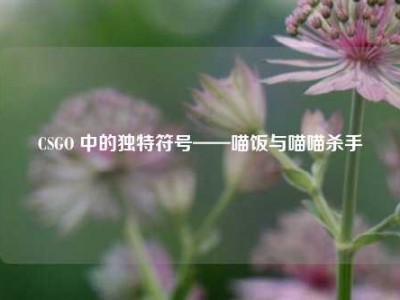 CSGO 中的独特符号——喵饭与喵喵杀手