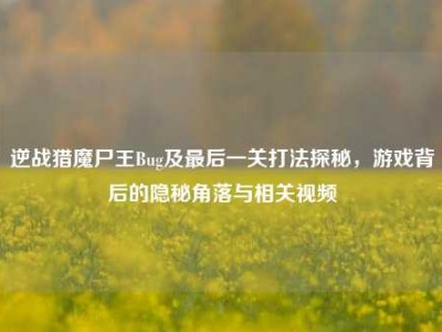 逆战猎魔尸王Bug及最后一关打法探秘，游戏背后的隐秘角落与相关视频