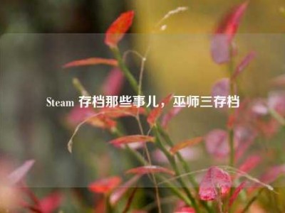 Steam 存档那些事儿，巫师三存档