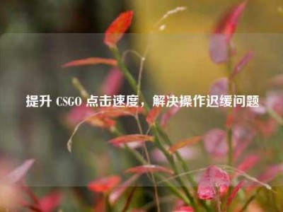 提升 CSGO 点击速度，解决操作迟缓问题