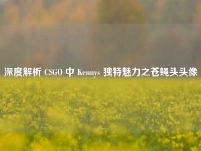 深度解析 CSGO 中 Kennys 独特魅力之苍蝇头头像