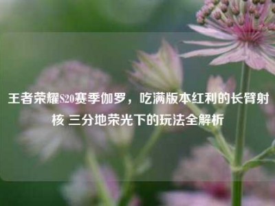 王者荣耀S20赛季伽罗，吃满版本红利的长臂射核 三分地荣光下的玩法全解析