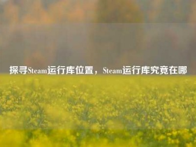 探寻Steam运行库位置，Steam运行库究竟在哪