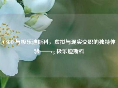 CSGO 与极乐迪斯科，虚拟与现实交织的独特体验——vg 极乐迪斯科