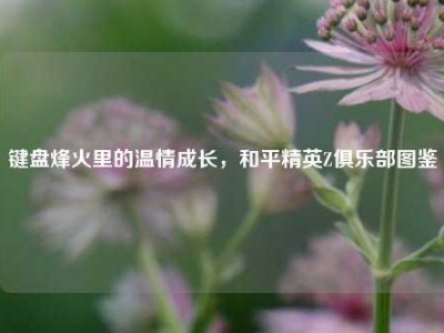 键盘烽火里的温情成长，和平精英Z俱乐部图鉴