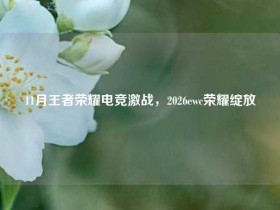 11月王者荣耀电竞激战，2026ewc荣耀绽放
