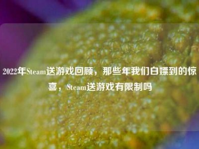 2022年Steam送游戏回顾，那些年我们白嫖到的惊喜，Steam送游戏有限制吗