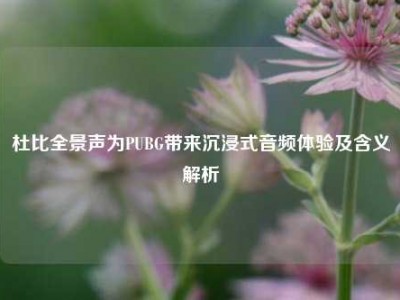 杜比全景声为PUBG带来沉浸式音频体验及含义解析