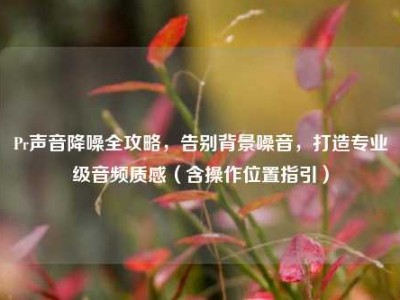 Pr声音降噪全攻略，告别背景噪音，打造专业级音频质感（含操作位置指引）