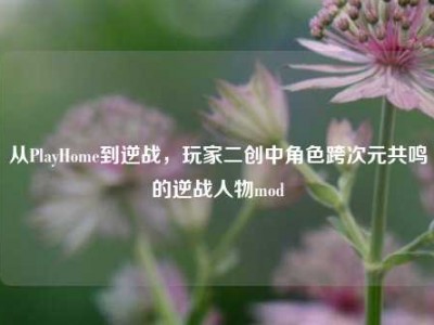 从PlayHome到逆战，玩家二创中角色跨次元共鸣的逆战人物mod